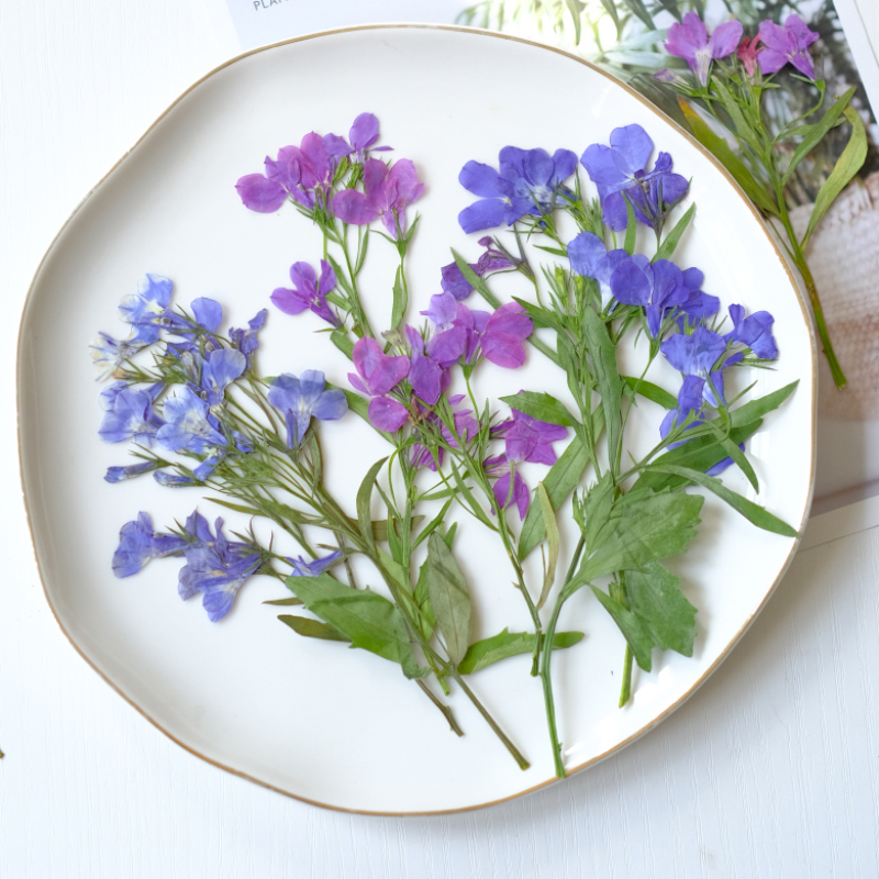 6pcs/8-13cm,nature Lobelia Eri - Resin Art Bookmark ulasan dan harga